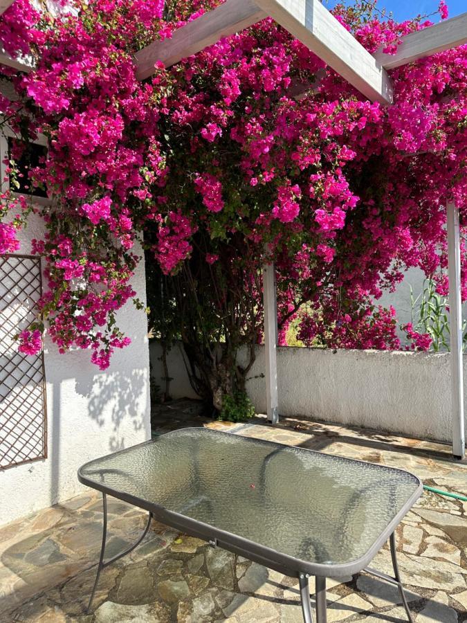 Villa Pinelopi كالاماتا المظهر الخارجي الصورة