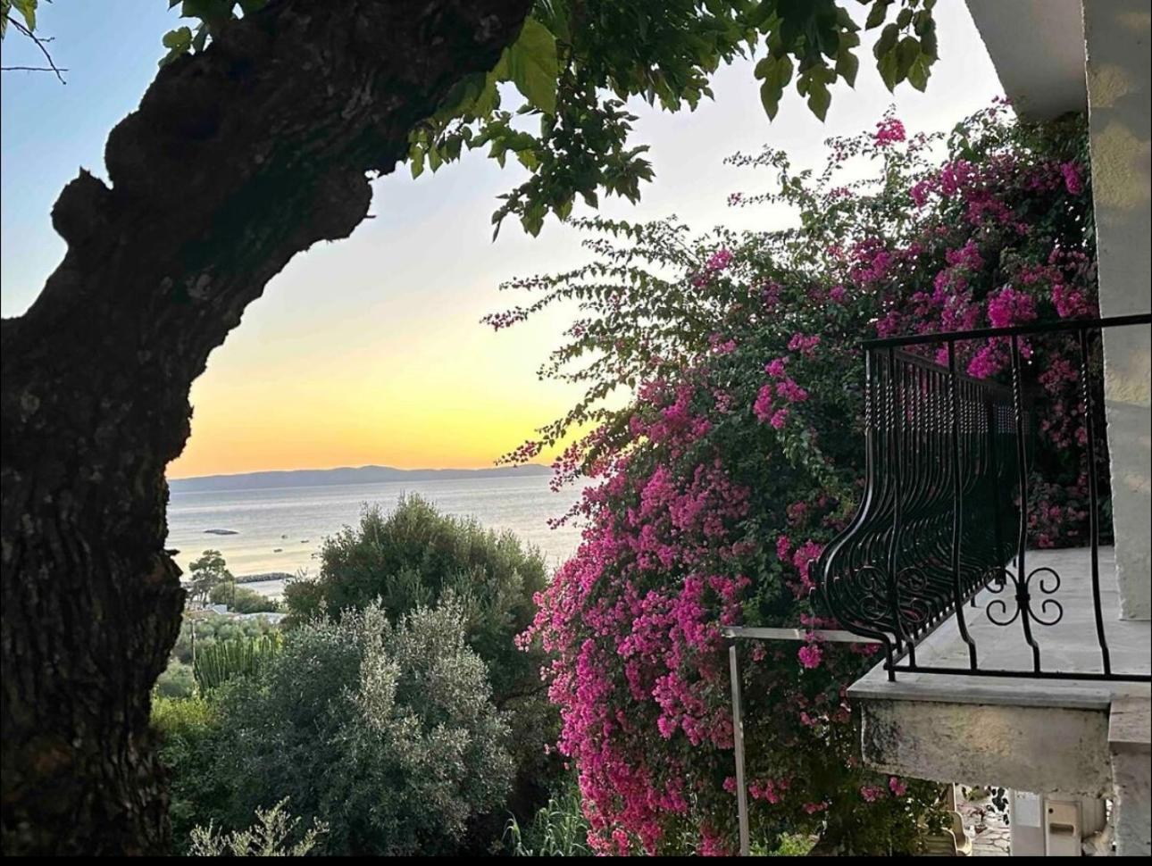 Villa Pinelopi كالاماتا المظهر الخارجي الصورة